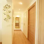 Paradise Luxurious Apartment, 3 Double For 6 Guests, 4 Beds, Terrace, Jacuzzi, Free Parking, New Appartement