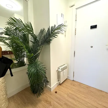 Paradise Luxurious Apartment, Free Parking, 3 Double Rooms, 4 Beds, Terrace, Jacuzzi, New San Sebastian